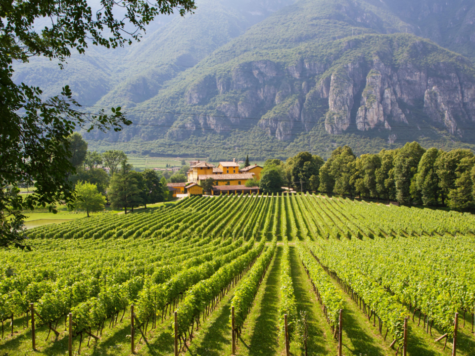 Trento, a região mais verde da Itália